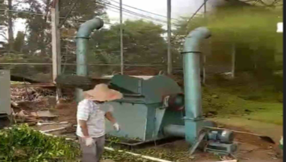 廢棄樹枝處理利用