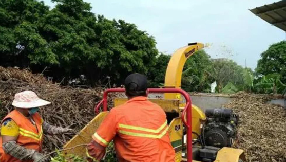 廢舊樹枝變廢為寶