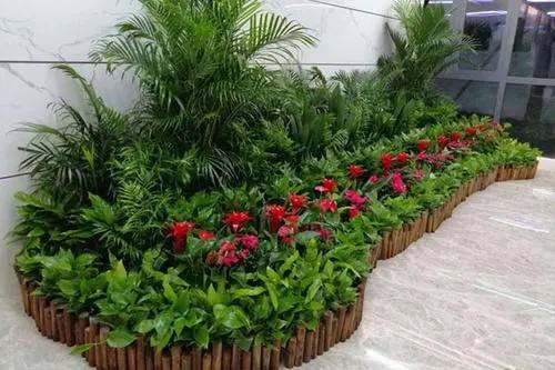 公園花草租擺養護