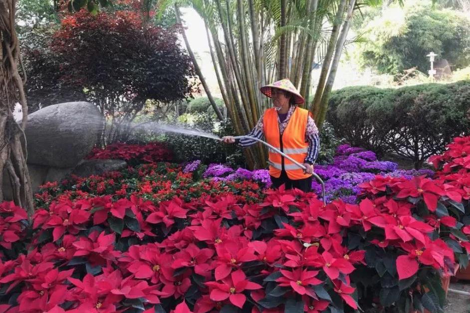 公園花草租擺養護